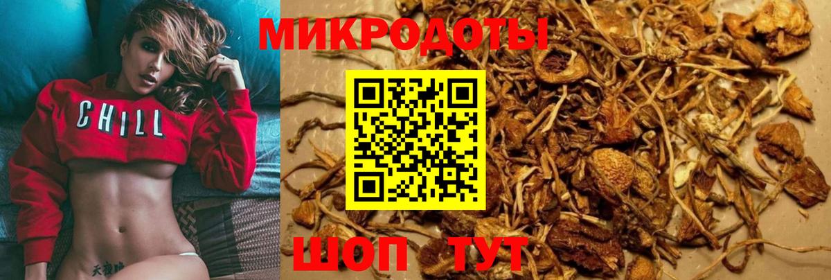 Псилоцибиновые грибы ЛСД Архангельск